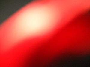 DSCF2421