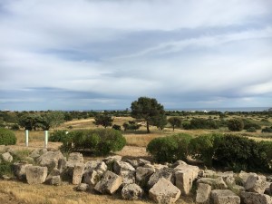 img_1102